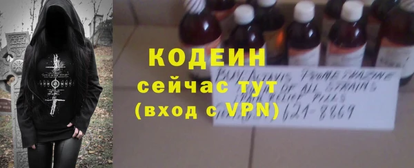 хмурый Богородск