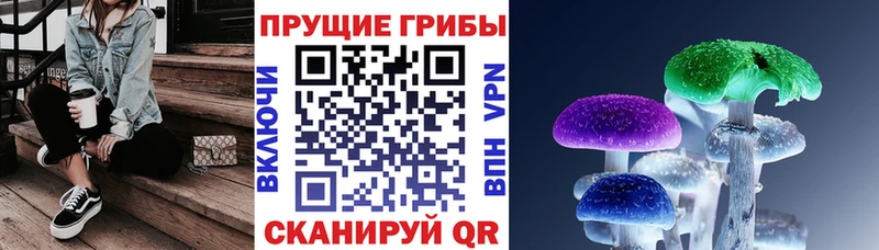 закладки  площадка как зайти  Галлюциногенные грибы Psilocybine cubensis  Межгорье 